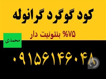 کود گوگرد گرانوله بنتونیت دار