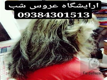 اموزش ارایشگری شیراز