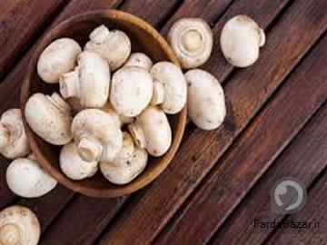 آگهی رایگان اموزش پرورش قارچ به صورت تخصصی